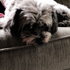 Meet your Posher, Kelcie